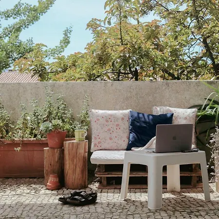 Coimbra Erasmus House - Guest House-2