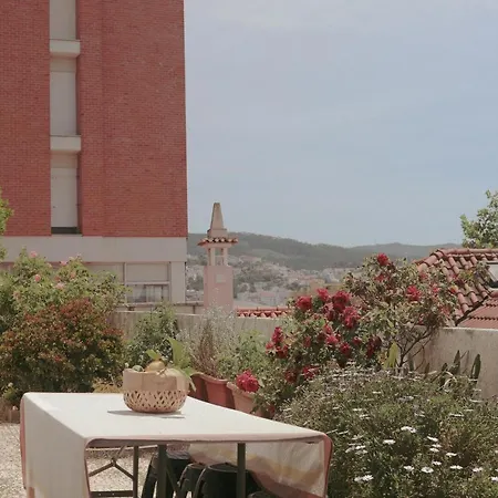 Coimbra Erasmus House - Guest House-3